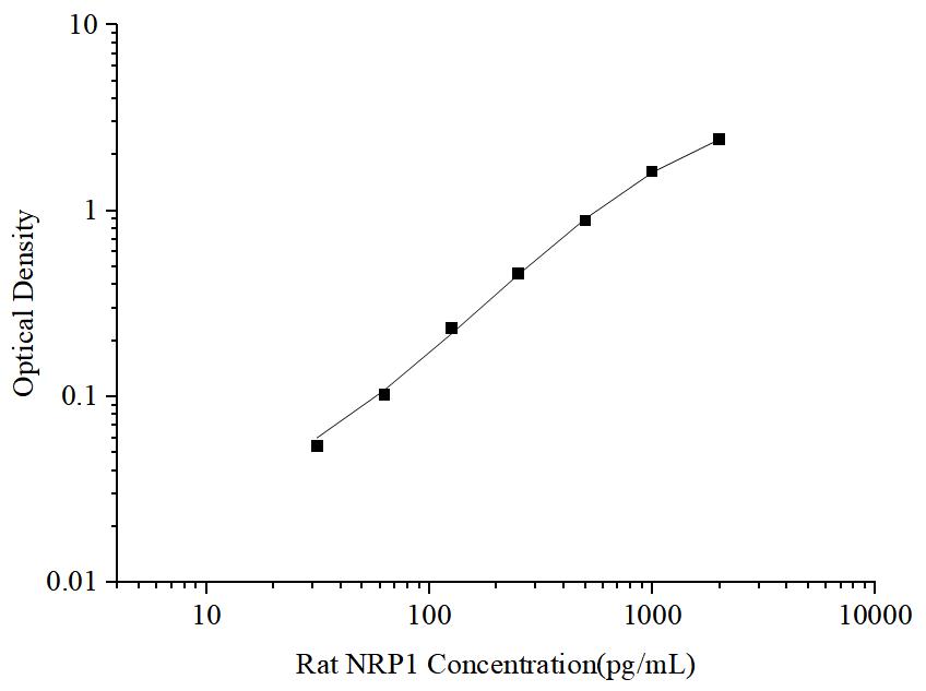 Uncoated Rat NRP1(Neuropilin 1) ELISA Kit - ABMIUM