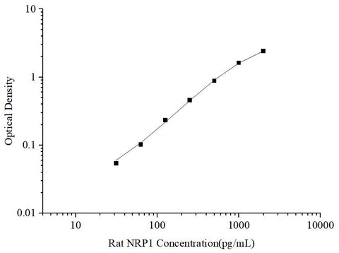 Uncoated Rat NRP1(Neuropilin 1) ELISA Kit - ABMIUM