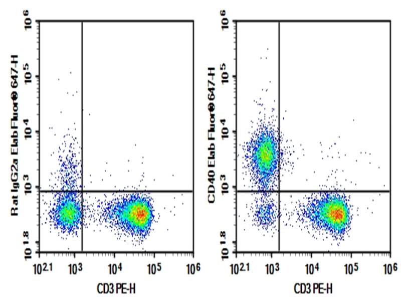 C57/BL6 Mouse splenocytes were stained with 0.2 μg AF/LE Purified Anti-Mouse CD40 Antibody[FGK4.5/FGK45] (Right) and 0.2 μg Rat IgG2a, κ Isotype Control (Left), followed by Elab Fluor<sup>®</sup> 647-conjugated Goat Anti-Rat IgG Secondary Antibody, then anti-Mouse CD3 PE-conjugated Monoclonal Antibody.