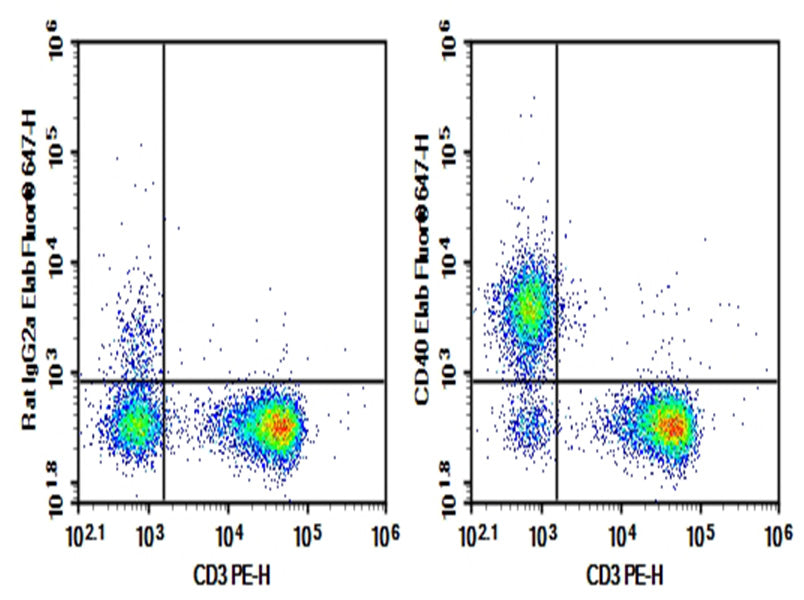 C57/BL6 Mouse splenocytes were stained with 0.2 μg AF/LE Purified Anti-Mouse CD40 Antibody[FGK4.5/FGK45] (Right) and 0.2 μg Rat IgG2a, κ Isotype Control (Left), followed by Elab Fluor<sup>®</sup> 647-conjugated Goat Anti-Rat IgG Secondary Antibody, then anti-Mouse CD3 PE-conjugated Monoclonal Antibody.