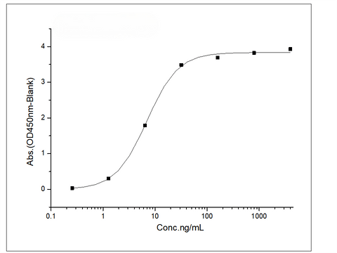 Immobilized Recombinant Human VEGFR1 / FLT-1 Protein (His Tag) (Cat: PKSH031842) at 2 μg/mL (100 μL/well) can bind Recombinant Human / Cynomolgus VEGF / VEGFA / VEGF165 Protein (Cat: PKSH031978) , the EC<sub>50</sub>  is 3.8-11.6 ng/mL.