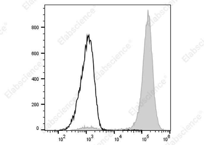 Anti-Rat CD11b/c Antibody [OX-42] - ABMIUM