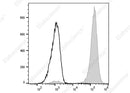 Anti-Rat CD11b/c Antibody [OX-42] - ABMIUM