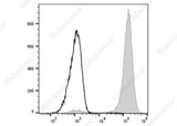 Anti-Rat CD11b/c Antibody [OX-42] - ABMIUM