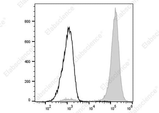 Anti-Rat CD11b/c Antibody [OX-42] - ABMIUM