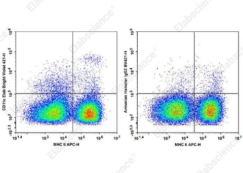 Staining of C57BL/6 murine splenocytes cells with APC Anti-Mouse MHC II Antibody and Elab Bright<sup>TM</sup> Violet 421 Anti-Mouse CD11c Antibody[N418] (left) or Elab Bright<sup>TM</sup> Violet 421 Armenian Hamster IgG2 Isotype Control (right). Total viable cells were used for analysis.