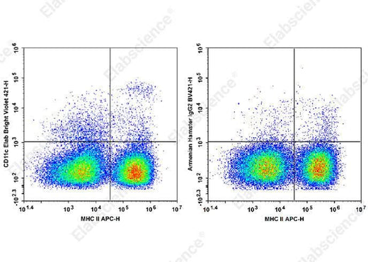 Staining of C57BL/6 murine splenocytes cells with APC Anti-Mouse MHC II Antibody and Elab Bright<sup>TM</sup> Violet 421 Anti-Mouse CD11c Antibody[N418] (left) or Elab Bright<sup>TM</sup> Violet 421 Armenian Hamster IgG2 Isotype Control (right). Total viable cells were used for analysis.