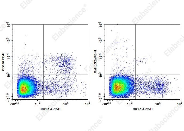 Staining of C57BL/6 murine splenocytes cells with APC Anti-Mouse CD49b Antibody and PE Anti-Mouse NKG2A/C/E Antibody[ME-9F1] (left) or PE Rat IgG2a,κ Isotype Control (right). Total viable cells were used for analysis.