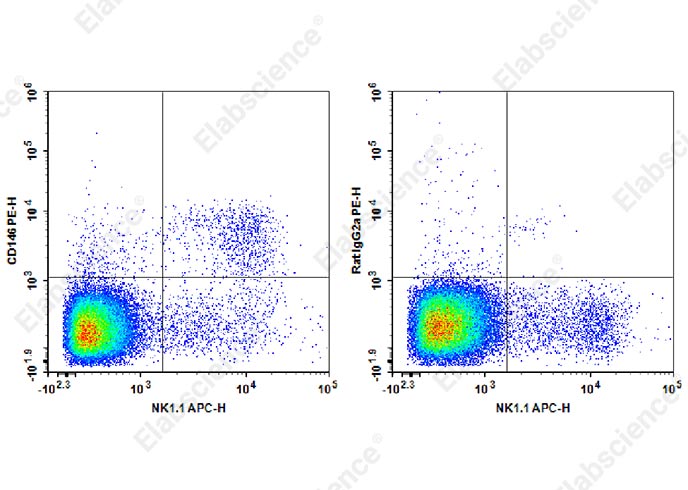 Staining of C57BL/6 murine splenocytes cells with APC Anti-Mouse CD49b Antibody and PE Anti-Mouse NKG2A/C/E Antibody[ME-9F1] (left) or PE Rat IgG2a,κ Isotype Control (right). Total viable cells were used for analysis.