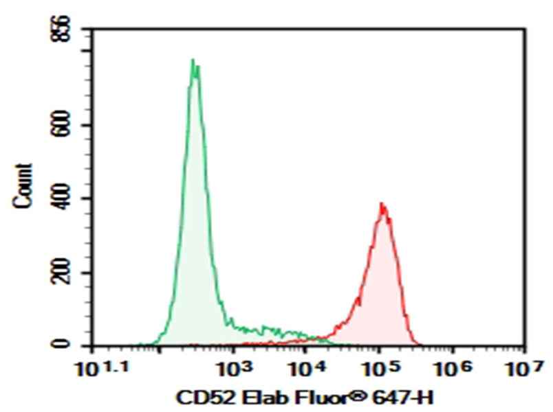 Anti-Human CD52 Antibody [Campath-1G] - ABMIUM