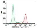 Anti-Human CD52 Antibody [Campath-1G] - ABMIUM