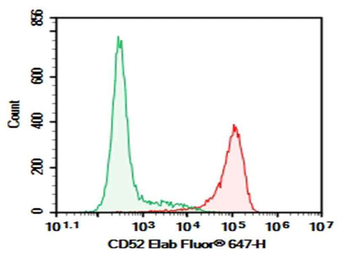 Anti-Human CD52 Antibody [Campath-1G] - ABMIUM