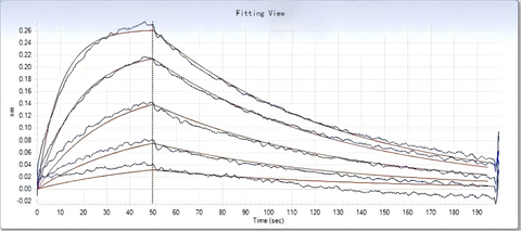 SARS-CoV-2 Coronavirus spike Protein 33244,Loaded ACE2 Protein, Human, Recombinant (mFc Tag) (Cat. No. PKSH031870) on AMC Biosensor, can bind SARS-CoV-2 (2019-nCoV) Spike S1(D614G)-His Recombinant Protein (Cat: PKSR030531) with an affinity constant of 57.7 nM as determined by Octet RED System.