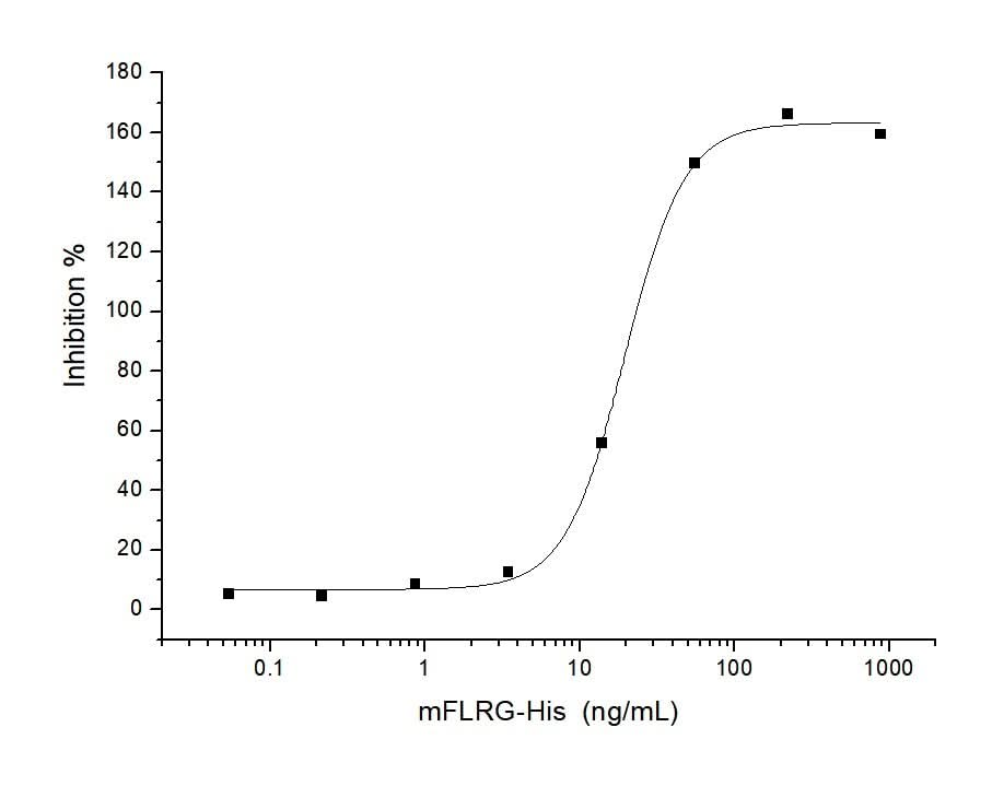Measured by its ability to neutralize Activin-mediated inhibition on MPC11 cell proliferation.The ED<sub>50</sub> for this effect is typically 5-25 ng/mL in the presence of 10 ng/mL rhActivin A.