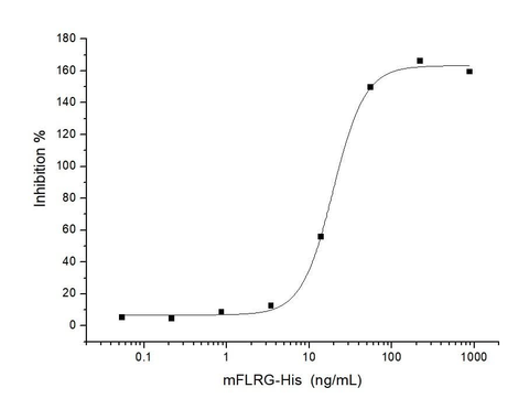 Measured by its ability to neutralize Activin-mediated inhibition on MPC11 cell proliferation.The ED<sub>50</sub> for this effect is typically 5-25 ng/mL in the presence of 10 ng/mL rhActivin A.