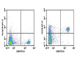 C57/BL6 Mouse splenocytes were stained with 0.2 μg Purified Anti-Mouse CD226 Antibody[10E5](Right) and 0.2 μg Rat IgG2b, κ Isotype Control (Left), followed by APC-conjugated Goat Anti-Rat IgG Secondary Antibody, then anti-Mouse CD4 FITC-conjugated Monoclonal Antibody.