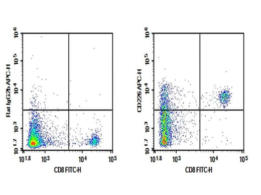 C57/BL6 Mouse splenocytes were stained with 0.2 μg Purified Anti-Mouse CD226 Antibody[10E5](Right) and 0.2 μg Rat IgG2b, κ Isotype Control (Left), followed by APC-conjugated Goat Anti-Rat IgG Secondary Antibody, then anti-Mouse CD4 FITC-conjugated Monoclonal Antibody.