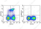 Staining of C57BL/6 murine splenocytes cells with PE Anti-Mouse CD3 Antibody and APC Anti-Mouse CD8a Antibody[2.43] (left) or APC Rat IgG2b, κ Isotype Control (right). Total viable cells were used for analysis.