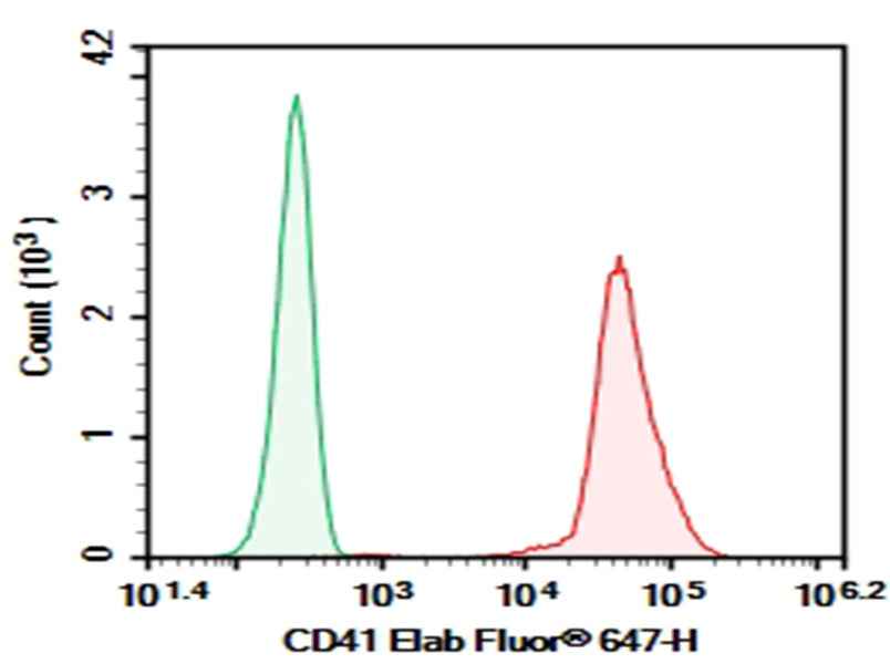 Anti-Human CD41 Antibody [10E5-F0061] - ABMIUM