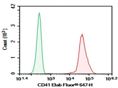 Anti-Human CD41 Antibody [10E5-F0061] - ABMIUM