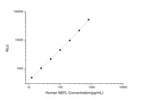 Human NEFL (Neurofilament, Light Polypeptide) CLIA Kit - ABMIUM