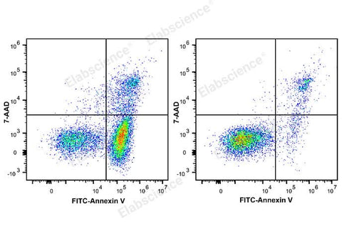 Annexin V-FITC/7-AAD Apoptosis Kit - ABMIUM
