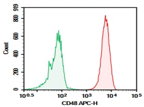Anti-Human CD48 Antibody [BJ40] - ABMIUM