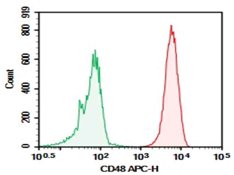 Anti-Human CD48 Antibody [BJ40] - ABMIUM