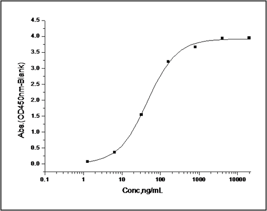 Measured by its binding ability in a functional ELISA. Immobilized recombinant human CD200 at 1 μg/ml (100 μl/well) can bind human CD200R1 / Fc Chimera with a linear range of 0.12-16 ng/ml.