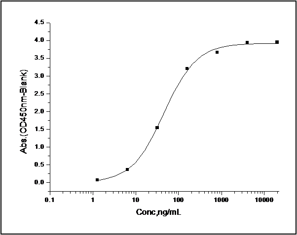 Measured by its binding ability in a functional ELISA. Immobilized recombinant human CD200 at 1 μg/ml (100 μl/well) can bind human CD200R1 / Fc Chimera with a linear range of 0.12-16 ng/ml.