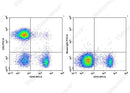 Anti-Human CD3 Antibody [HIT3b] - ABMIUM