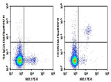 C57/BL6 Mouse splenocytes were stained with 0.2 μg AF/LE Purified Anti-Mouse CD335 Antibody[29A1.4] (Right) and 0.2 μg Rat IgG2a, κ Isotype Control (Left), followed by Elab Fluor<sup>®</sup> 647-conjugated Goat Anti-Rat IgG Secondary Antibody, then anti-Mouse NK1.1 PE-conjugated Monoclonal Antibody.