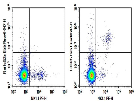C57/BL6 Mouse splenocytes were stained with 0.2 μg AF/LE Purified Anti-Mouse CD335 Antibody[29A1.4] (Right) and 0.2 μg Rat IgG2a, κ Isotype Control (Left), followed by Elab Fluor<sup>®</sup> 647-conjugated Goat Anti-Rat IgG Secondary Antibody, then anti-Mouse NK1.1 PE-conjugated Monoclonal Antibody.