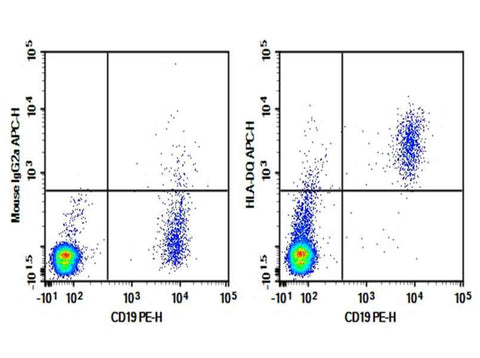 Anti-Human HLA-DQ Antibody [1A3] - ABMIUM