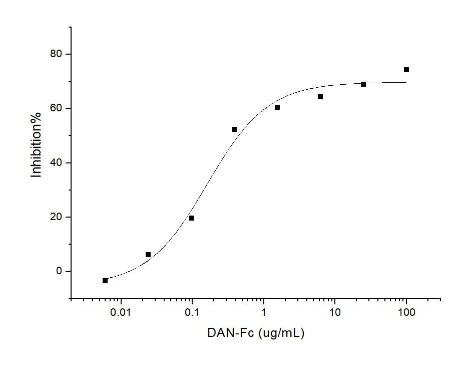 Measured by its ability to inhibit BMP4-induced activity in MC3T3-E1 Mouse osteoblastic cells. The ED<sub>50</sub> for this effect is typically 0.2-1.2 μg/ml in the presence of 50 ng/mL of recombinant human BMP4.