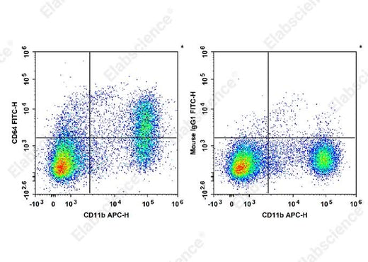 C57BL/6 murine bone marrow cells are stained with APC Anti-Mouse/Human CD11b Antibody and FITC Anti-Mouse CD64 Antibody[X54-5/7.1] (Left). Bone marrow cells are stained with APC Anti-Mouse/Human CD11b Antibody and FITC Mouse IgG1, κ Isotype Control (Right). 