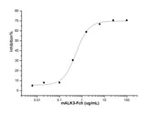 Measured by its ability to inhibit BMP4-induced activity in MC3T3-E1 Mouse osteoblastic cells. The ED<sub>50</sub> for this effect is typically 0.1-0.3 μg/ml in the presence of 50 ng/mL of recombinant human BMP4.