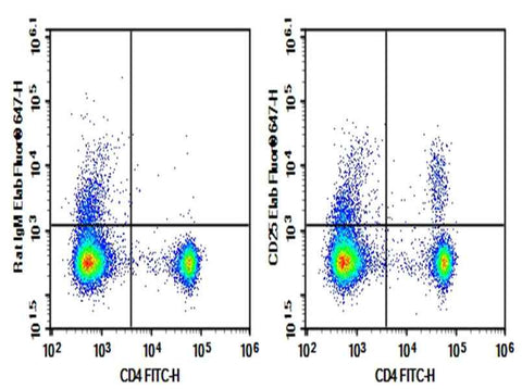 Anti-Mouse CD25 Antibody [7D4] - ABMIUM
