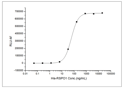 Measured by its ability to induce activation of β-catenin response in a Topflash Luciferase assay using HEK293T human embryonic kidney cells. The ED<sub>50</sub> for this effect is typically 0.1-0.5 μg/mL in the presence of 5 ng/mL recombinant mouse Wnt3a.