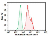 Anti-Mouse MHC I (H-2Kd) Antibody [SF1-1.1.10] - ABMIUM