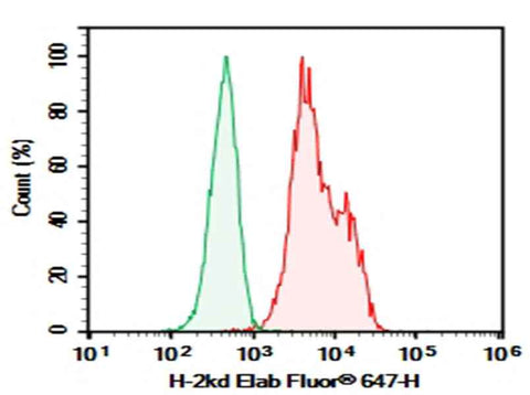 Anti-Mouse MHC I (H-2Kd) Antibody [SF1-1.1.10] - ABMIUM