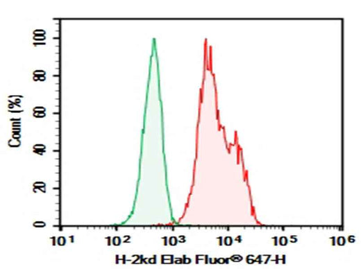 Anti-Mouse MHC I (H-2Kd) Antibody [SF1-1.1.10] - ABMIUM