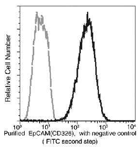 Anti-Human EpCAM Antibody [B118] - ABMIUM