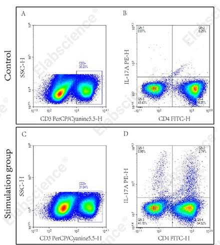 Flow cytometric analysis of Mouse Th17 Flow Cytometry Staining Kit.Splenocytes from normal C57 mouse (Control) and C57 mouse stimulated with Cell Stimulation MIX (Stimulation group). CD3+ CD4+ IL-17A+cells (Q5-2) were gated to analyze Th17.