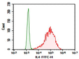HEK293T cells transfected with pcDNA3.1 plasmid encoding Rat IL4 gene were stained with 0.2 μg Purified Anti-Rat IL4 Antibody[5B3] (Right) and 0.2 μg Mouse IgG2a, κ Isotype Control (Left), followed by FITC-conjugated Goat Anti-Rat IgG Secondary Antibody.