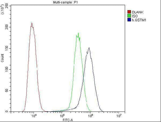 Anti-GSTM1 Antibody Picoband® (monoclonal, 11F2 Boster Bio