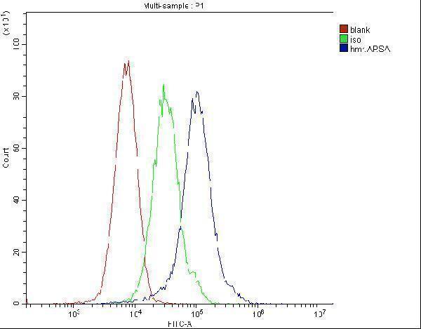 Anti-ARSA Antibody Picoband® (monoclonal, 4C10 Boster Bio