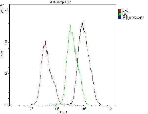 Anti-AMPK beta 2 PRKAB2 Antibody Picoband® (monoclonal, 6G1 Boster Bio