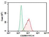 Anti-Mouse CD205 Antibody [NLDC-145] - ABMIUM