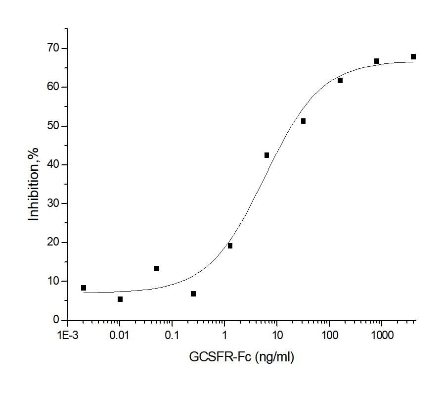 Measured by its ability to inhibit GCSF-induced proliferation of NFS60 mouse myeloid cells.The ED<sub>50</sub> for this ettect is typically 2-20 ng/ml in the presence of 0.125ng/ml of recombinant human GCSF.